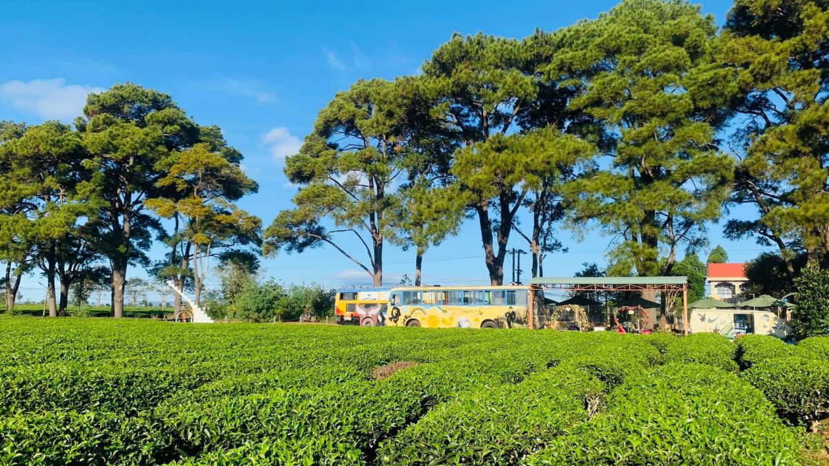 Quán cà phê đẹp tại Biển Hồ Chè Gia Lai Quán cà phê đẹp tại Biển Hồ Chè Gia Lai