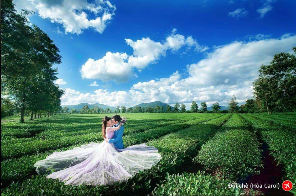 Ảnh đón bình minh đang trải nắng vàng giữa làn sương mờ như tiên cảnh chụp hình cưới tại biển hồ chè pleiku gia laia
