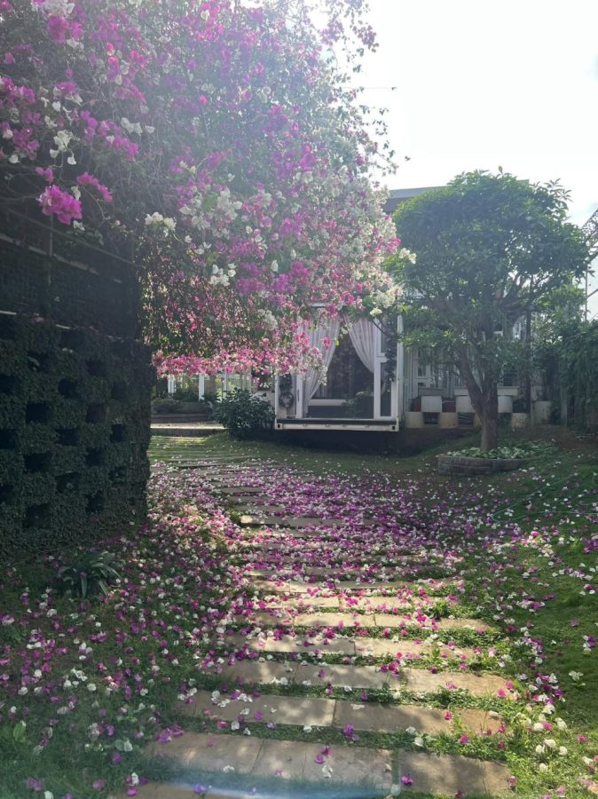 Papa Garden homesty & Cafe Party - Top 10 homestay đẹp nhất Pleiku Gia Lai