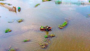 canh dong thien thanh gia lai