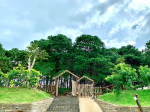 doi thong farm gia lai