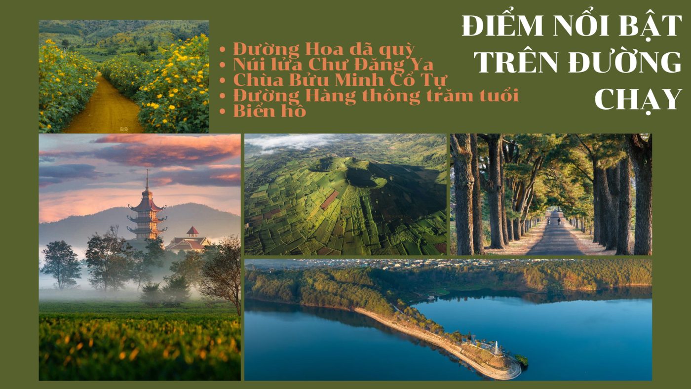 gia lai city trail marathon