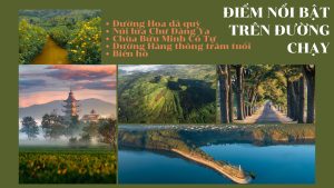 gia lai city trail marathon