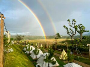 không gian du lịch xanh tại Zin's Pleiku Homestay Gia Lai - làng nao - Review Gia Lai