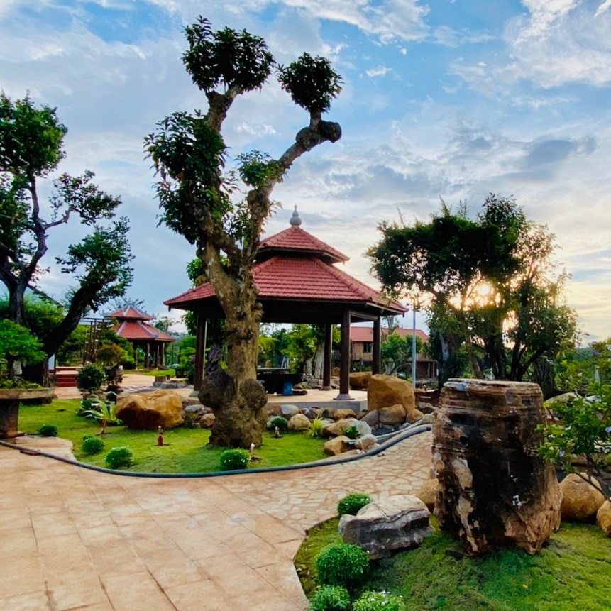 review ngoạ long sơn cà phê núi lửa hàm rồng pleiku