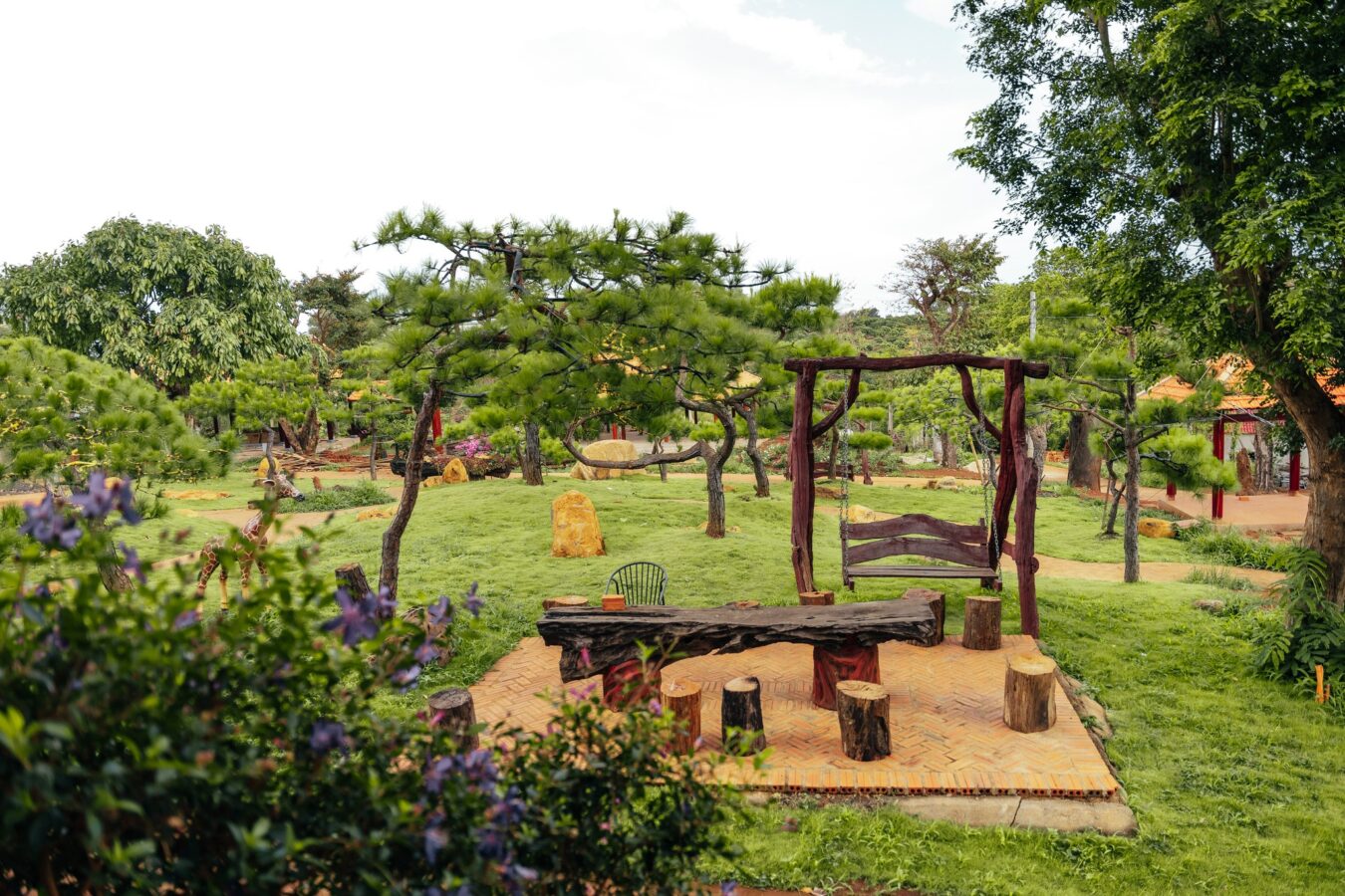 review cà phê núi lửa Hàm Rồng - ngoạ long sơn pleiku gia lai